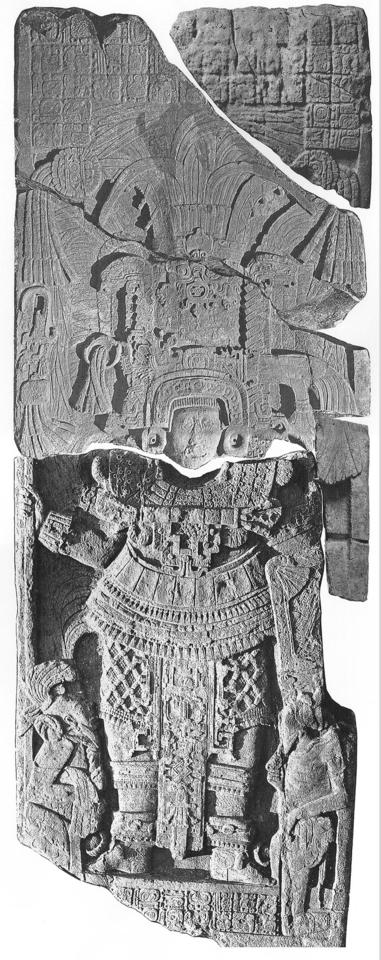 Photo of Piedras Negras, Stela 8, front