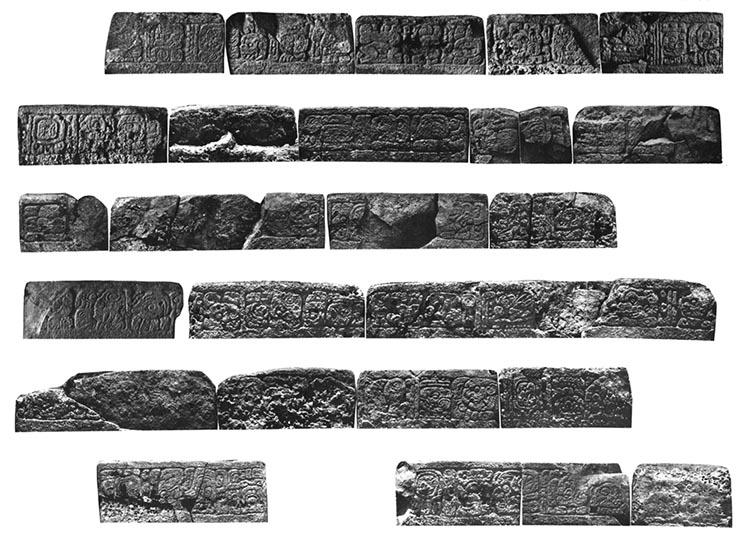 Photo of Yaxchilan Stairway 5, Blocks 36 thru 130