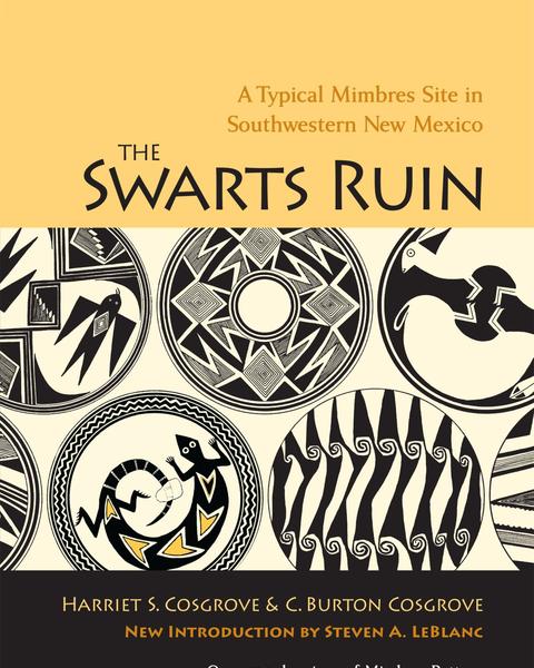 cover of The Swarts Ruin
