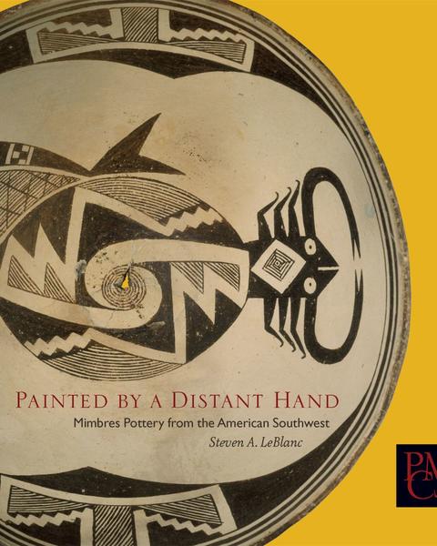 cover of Painted by a Distant Hand