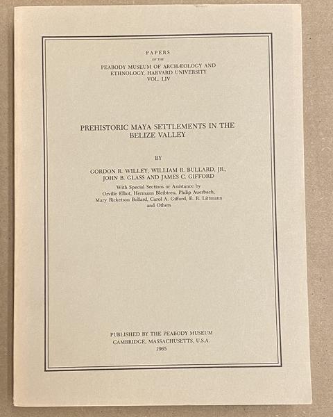cover of Prehistoric Maya settlements in the Belize Valley