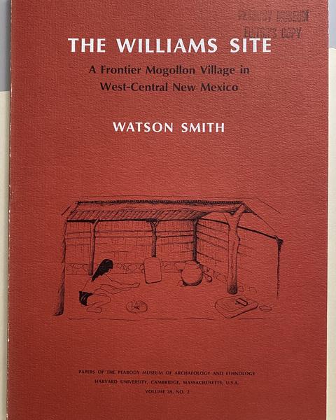 cover of The Williams site : a frontier Mogollon village in west-central New Mexico