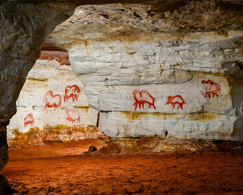 paleolithic cave art.